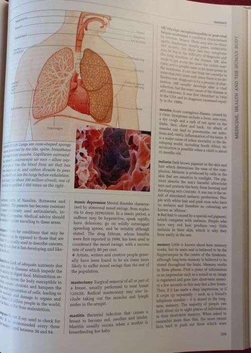 Reader`s Digest Illustrated Encyclopedia of Essential Knowledge