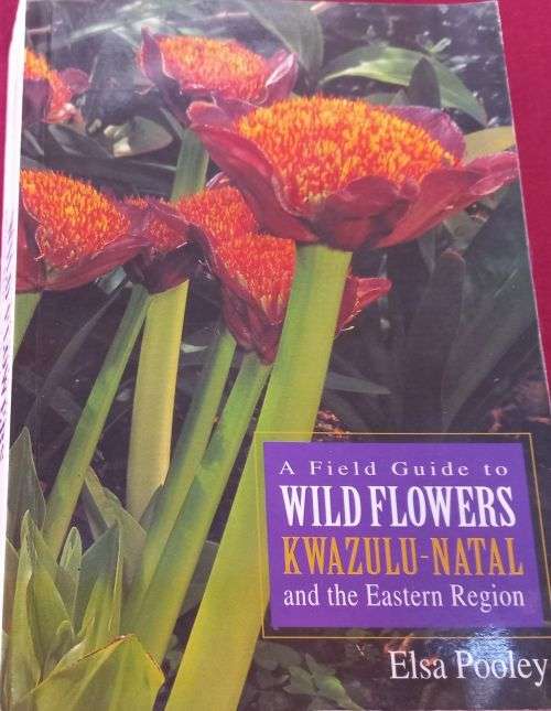 A Field Guide to the Wildflowers of Kwazulu-Natal and the Eastern Region - Elsa Pooley - Softcover