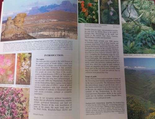 A Field Guide to the Wildflowers of Kwazulu-Natal and the Eastern Region - Elsa Pooley - Softcover
