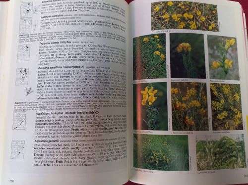 A Field Guide to the Wildflowers of Kwazulu-Natal and the Eastern Region - Elsa Pooley - Softcover