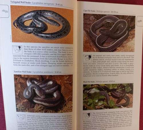 Three Books on South African Birds and Snakes - These are virtually new