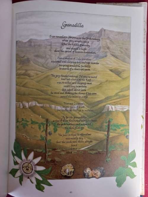 The Horn of Plenty - Chris Mann, Julia Skeen - Hardcover - 77 pages