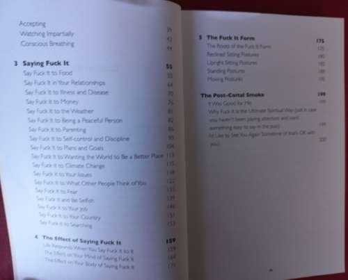 F**k It - The Ultimate Spiritual Way - John C. Parkin - Softcover - 200 Pages