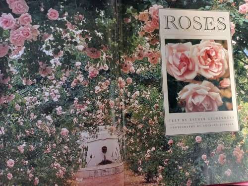 Roses - Esther Geldenhuys - Hardcover - 103 pages