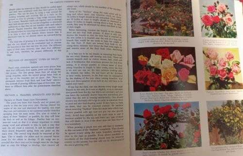 The Complete Gardening Book for Southern Africa - Sima Eliovson - Hardcover - 296 Pages