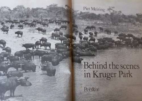 Behind the Scenes in Kruger Park - Piet Meiring - Hardcover - 153 pages