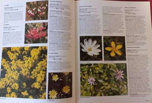 Inheemse Plante - Vir Die Tuin - Kristo Pienaar - Softcover - 96 Pages