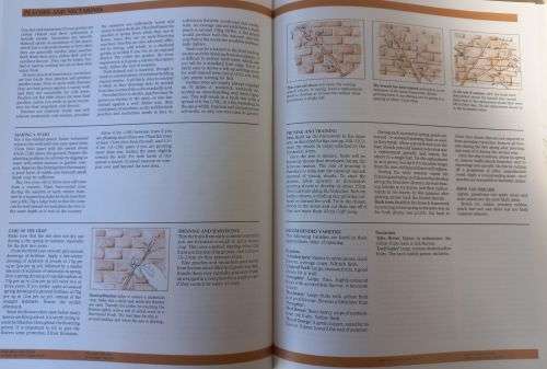 Home Grown - Denys de Saulles - Hardcover - 240 Pages