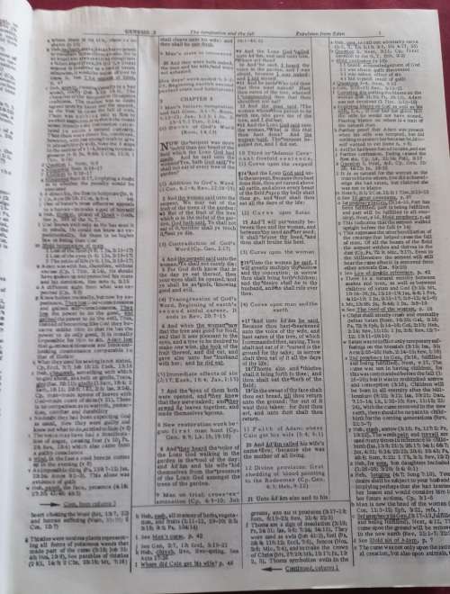 The Dake - Annotated Ref King James Bible - Finis Jennings Dake - Hardcover