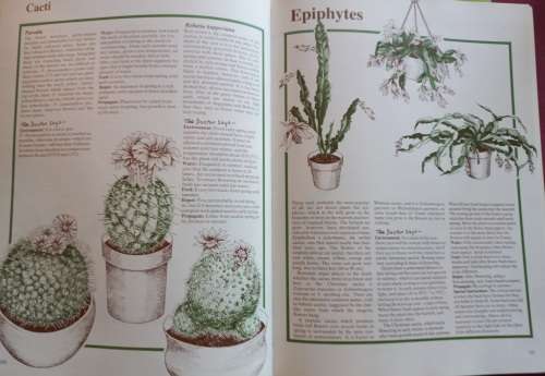 Dr. Greenfingers` Guide to Healthy Houseplants - Andrew Bicknell - Softcover - 159 Pages