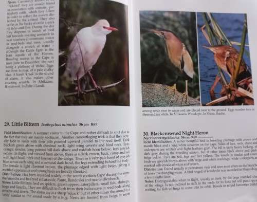 Birds of the South Western Cape - Joy Frandsen - Hardcover - 230 Pages
