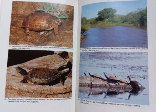The South African Tortoise Book - Richard Boycott and Ortwin Bourquin - Hardcover - 148 Pages