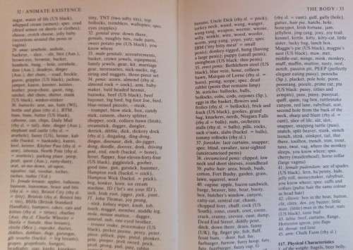 The Slang Thesaurus - Jonathon Green - Hardcover - 280 Pages