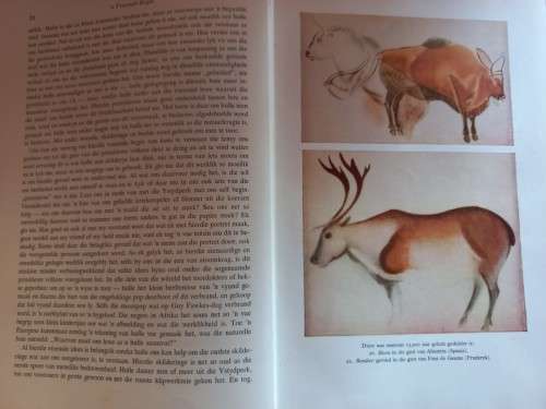 Kuns Deur Die Eeue - Dr. E. H. Gombrich - Hardcover - 452 Pages
