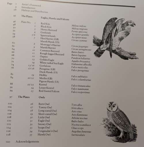 The Country Life Book of Birds of Prey - Gareth Parry, Rory Putman - Hardcover - 120 pages
