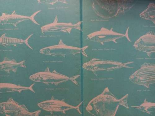 The Great Sea Angling Manual - Flip Joubert - Hardcover - 309 pages