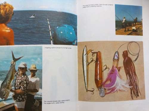 The Great Sea Angling Manual - Flip Joubert - Hardcover - 309 pages