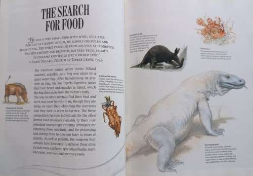 Exploring the Secrets of Nature - Reader`s Digest - Hardcover - 432 pages