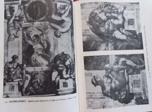 Painting of the High Renaissance (2 Book Set) in Rome and Florence - S. J. Freedberg - Softcover