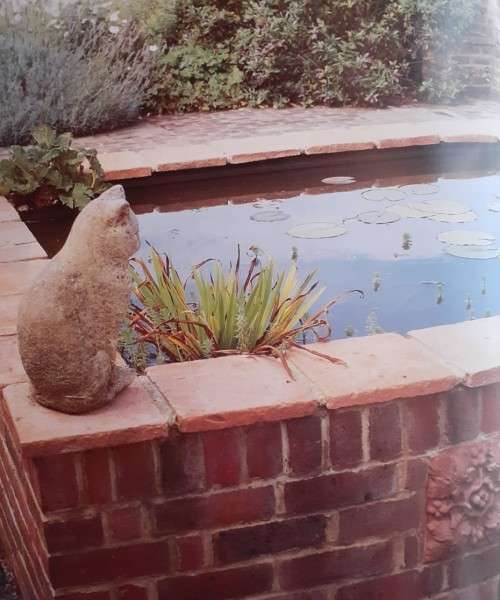 Waterverfraaiings Vir Die Tuin - Alan & Gill Bridgewater - Softcover - 128 Pages