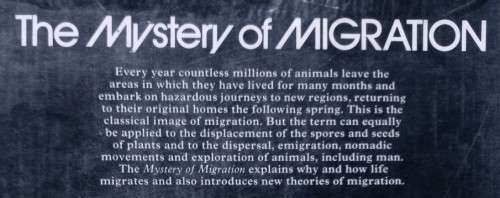 The Mystery of Migration - Dr Robin Baker - Hardcover - 256 Pages