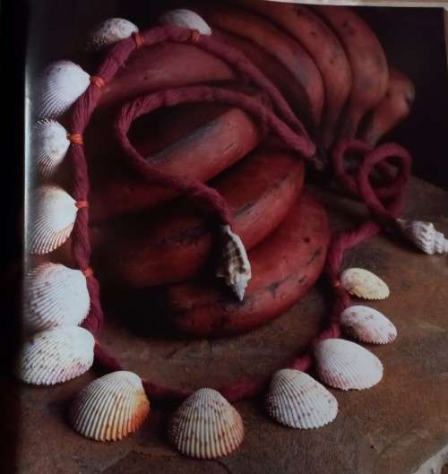Shells - New Crafts - Mary Maguire - Hardcover - 96 Pages