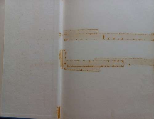 The Nature Of Life - Lorus and Margery Milne - Hardcover - 319 pages