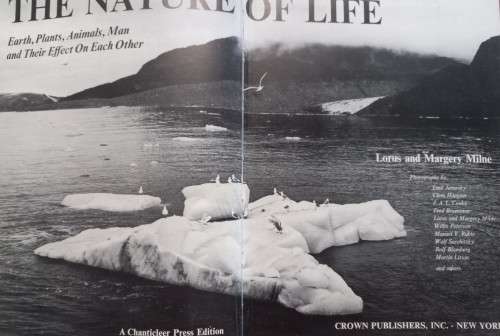The Nature Of Life - Lorus and Margery Milne - Hardcover - 319 pages