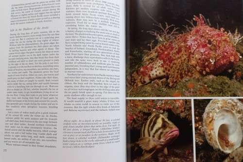 The Nature Of Life - Lorus and Margery Milne - Hardcover - 319 pages