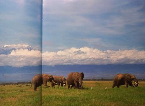 Kenya - The Beautiful - New Holland Publishers - Hardcover - 168 Pages