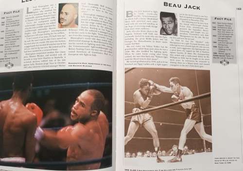 Boxing - Heroes and Champions - Bob Mee - Hardcover - 352 Pages