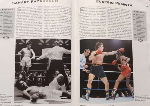 Boxing - Heroes and Champions - Bob Mee - Hardcover - 352 Pages