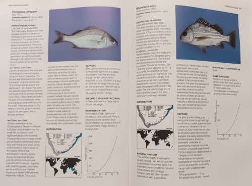 A Guide to the Common Fishes of Southern Africa - Rudy van der Elst - Hardcover - 367 Pages
