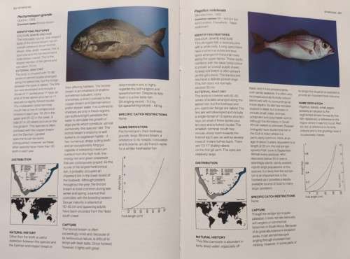 A Guide to the Common Fishes of Southern Africa - Rudy van der Elst - Hardcover - 367 Pages
