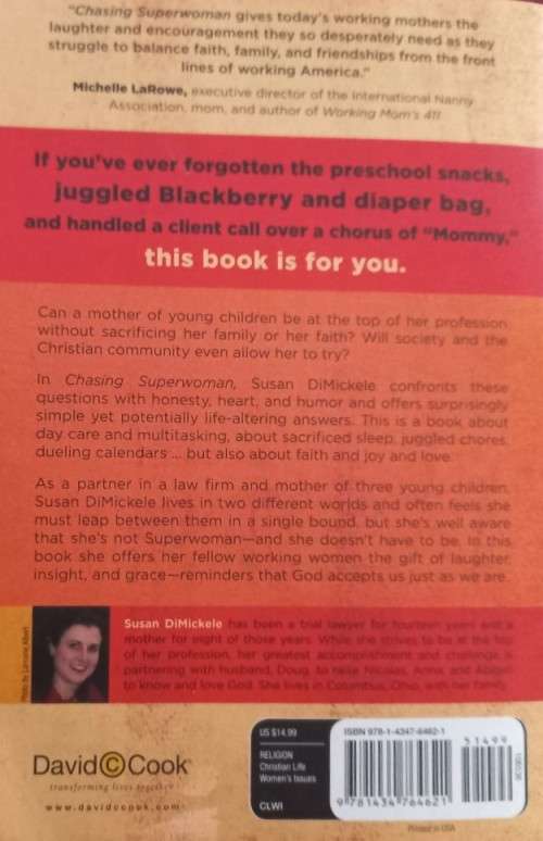 Chasing Superwoman -  A Working Mom`s Adventures - Susan M. DiMickele - Softcover - 224 Pages