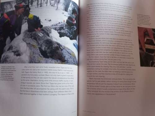 The Big Five - Magnus Elander, Staffan Widstrand, Johan Lewenhaupt - Hardcover - 239 Pages