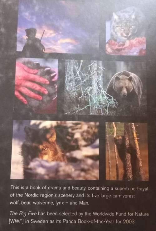 The Big Five - Magnus Elander, Staffan Widstrand, Johan Lewenhaupt - Hardcover - 239 Pages