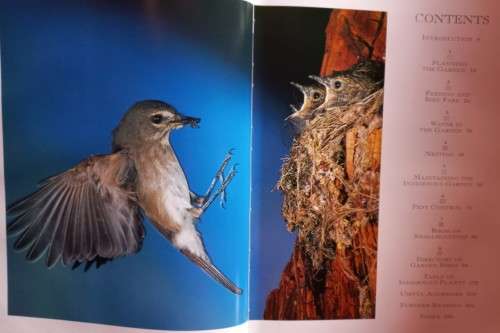 Attracting Birds to Your Garden in SA - Roy Trendler & Lex Hes - Hardcover - 208 pages