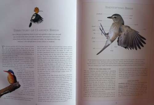 Attracting Birds to Your Garden in SA - Roy Trendler & Lex Hes - Hardcover - 208 pages