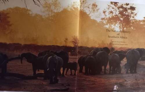 The Natural History of Southern Africa - David Bristow & Gerald Cubitt - Hardcover - 144 Pages