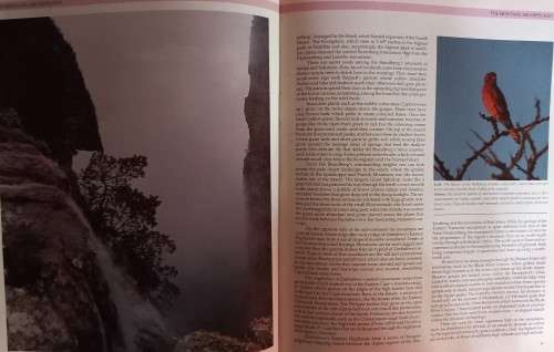 The Natural History of Southern Africa - David Bristow & Gerald Cubitt - Hardcover - 144 Pages