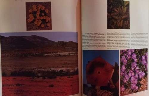 The Natural History of Southern Africa - David Bristow & Gerald Cubitt - Hardcover - 144 Pages