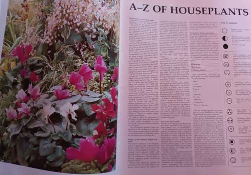 The Hamlyn Encyclopedia of House Plants - Rob Herwig - Softcover - 208 pages