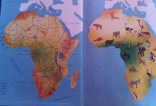 Hamlyn: Animals of Africa - Dr Jiri Felix - Hardcover - 315 pages