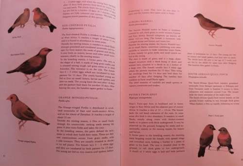 Hamlyn: Animals of Africa - Dr Jiri Felix - Hardcover - 315 pages