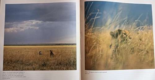 The Hunters and the Hunted - Karl and Kathrine Ammann - Hardcover - 192 pages
