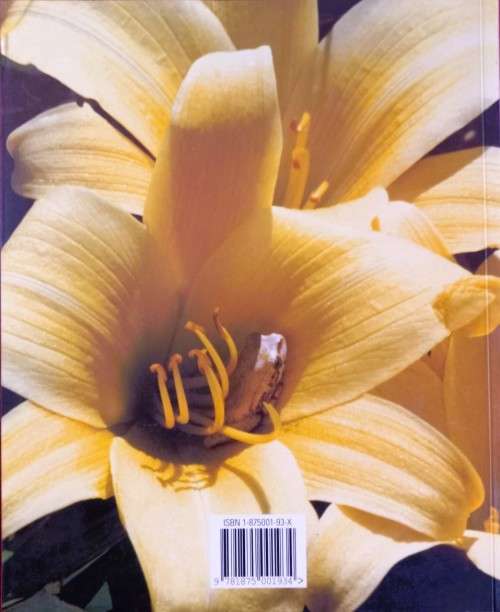 Klein Tuin - Nancy Gardiner - Softcover - 112 pages