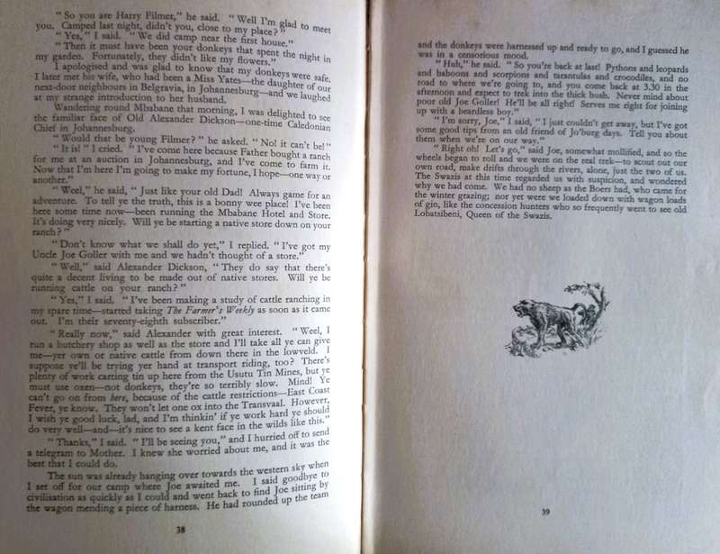 Usutu! - Harry Filmer and Patricia Jameson - Hardcover - 144 Pages