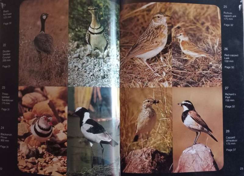 Birds of Botswana - Peter Ginn - Hardcover - 104 Pages