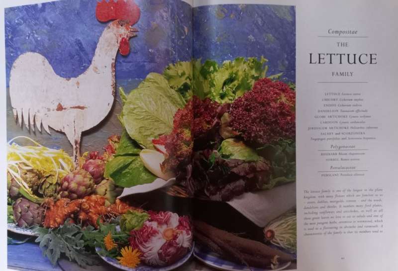 Colin Spencer`s Vegetable Book - Hardcover - 288 Pages